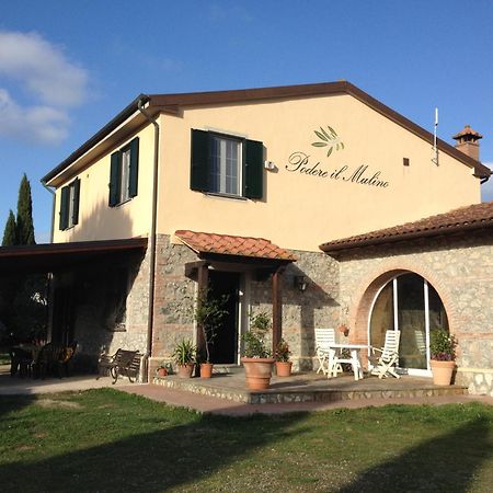Podere Il Mulino Pieve di Santa Luce Kültér fotó