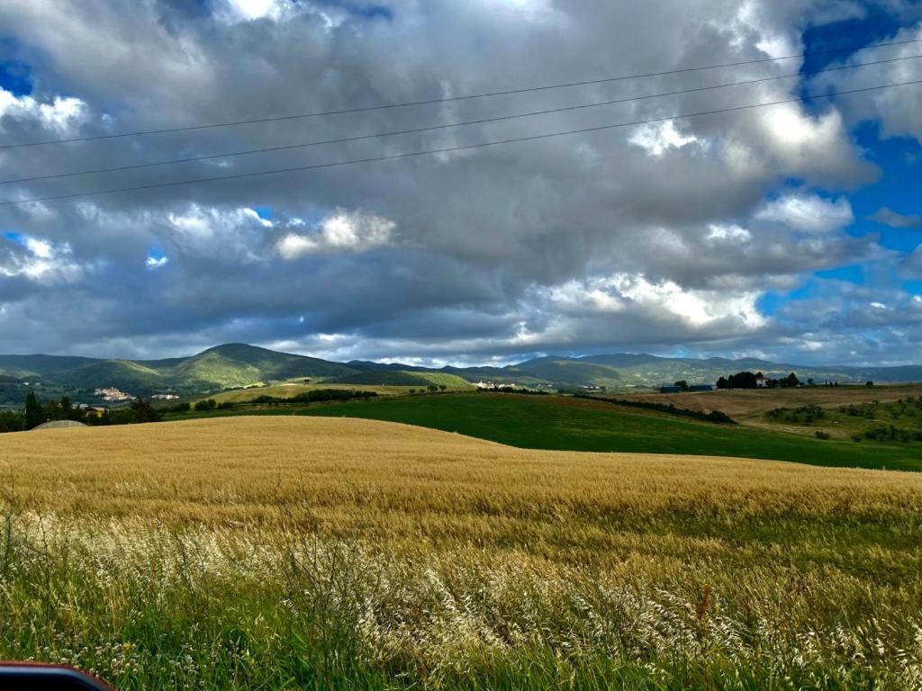 Podere Il Mulino Pieve di Santa Luce Kültér fotó
