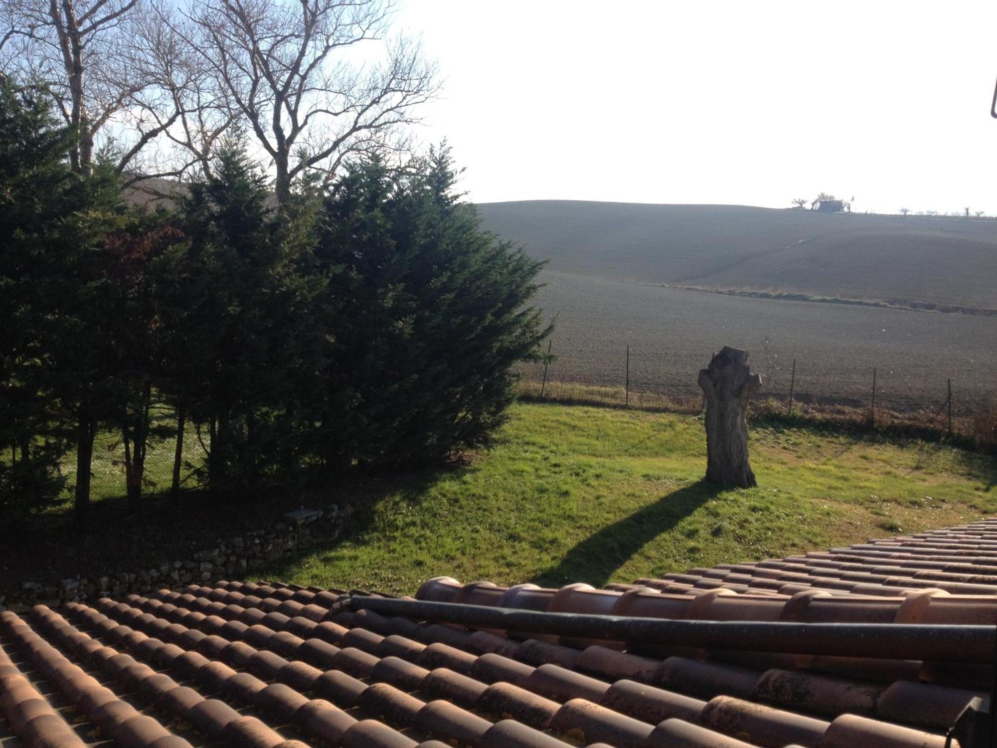 Podere Il Mulino Pieve di Santa Luce Kültér fotó