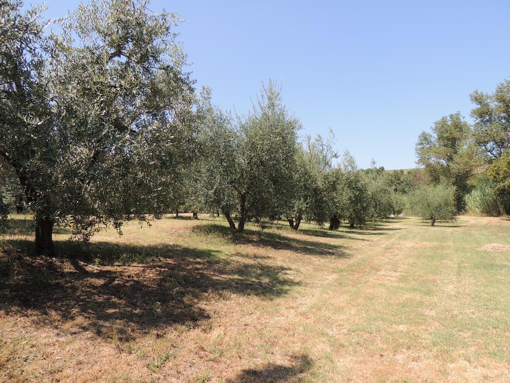 Podere Il Mulino Pieve di Santa Luce Kültér fotó