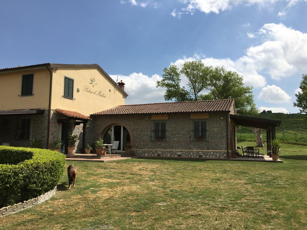 Podere Il Mulino Pieve di Santa Luce Kültér fotó