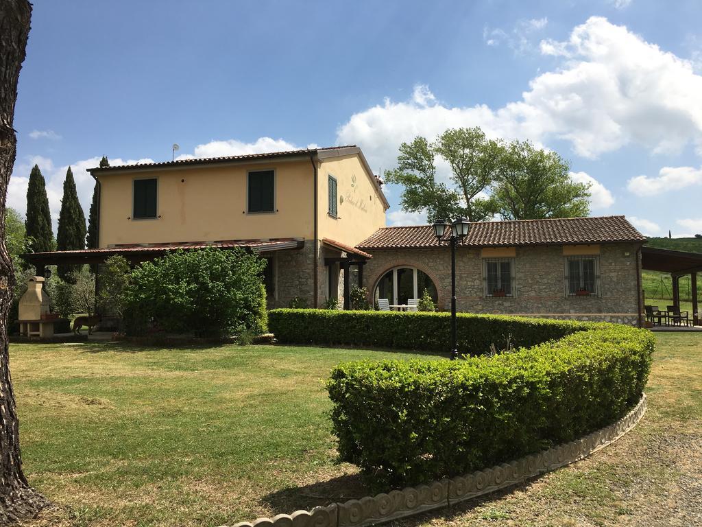 Podere Il Mulino Pieve di Santa Luce Kültér fotó
